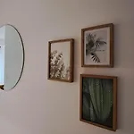 Neuf Casone - Trottel アジャクシオ