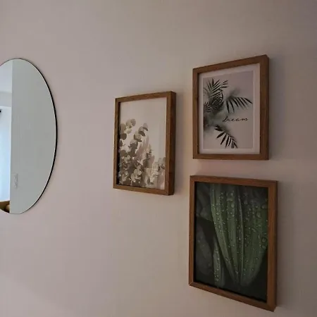 Neuf Casone - Trottel Ajaccio (Corsica)